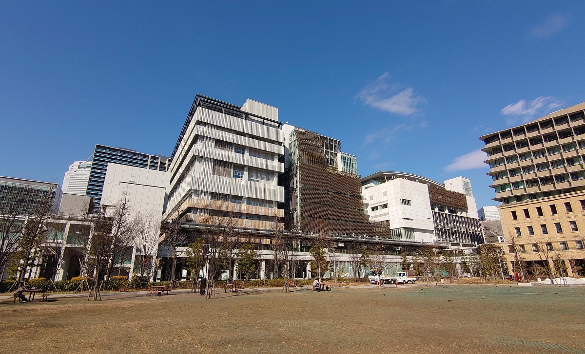 南側にある芝浦公園から見た芝浜小学校