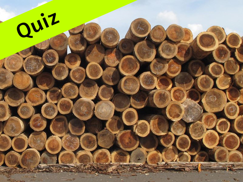 日本の木材輸入量に占めるロシア産製材の割合は？